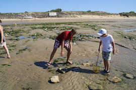 plage2.jpg